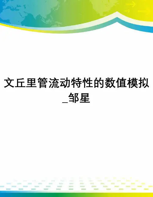 文丘里管流动特性的数值模拟_邹星