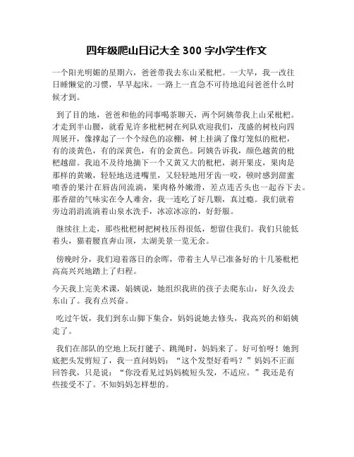 四年级爬山日记大全300字小学生作文