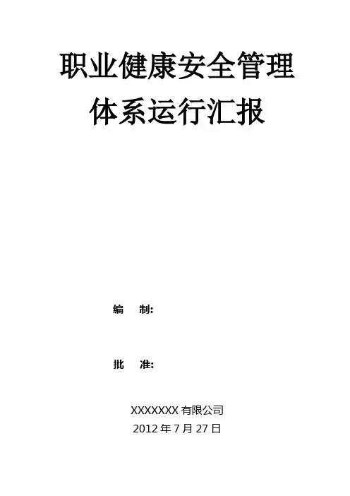 工厂职业健康安全管理体系运行情况报告