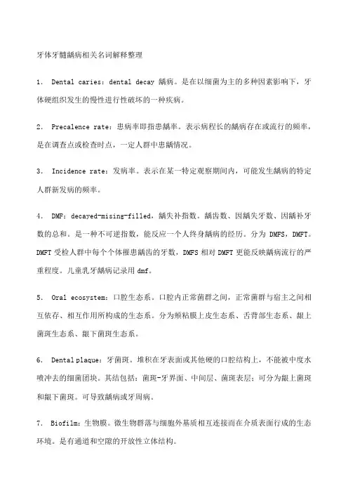 牙体牙髓相关名词解释
