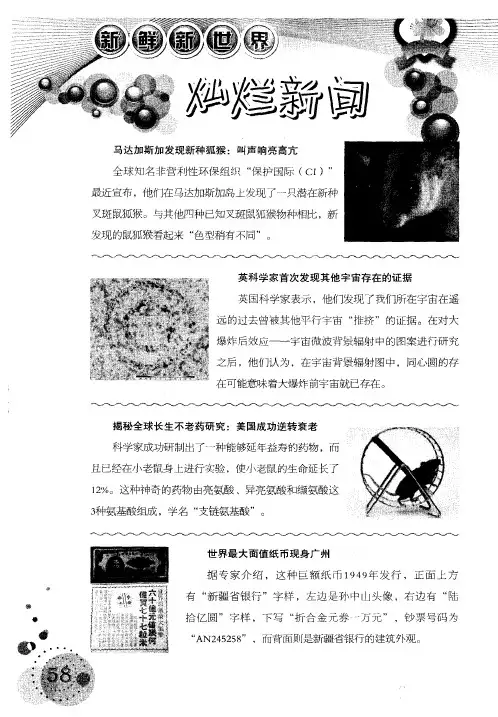 灿烂新闻