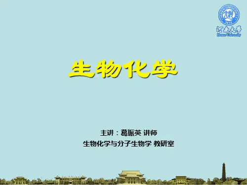 第6章生物氧化