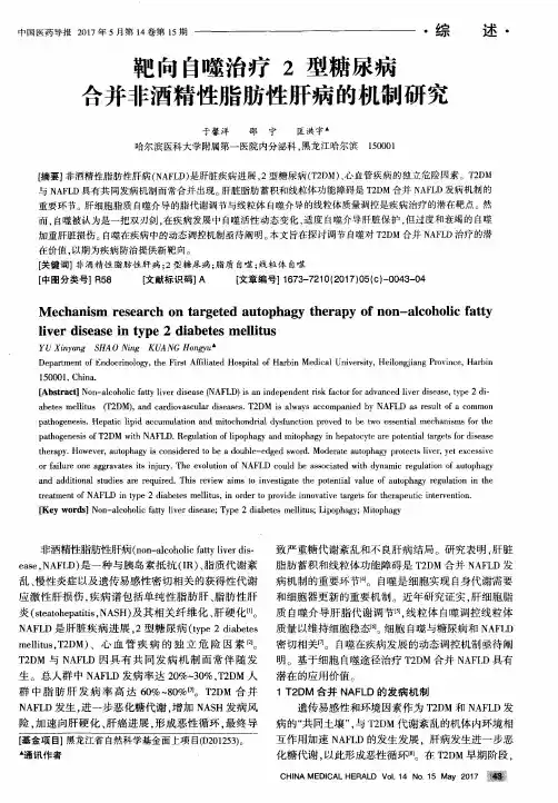 靶向自噬治疗2型糖尿病合并非酒精性脂肪性肝病的机制研究