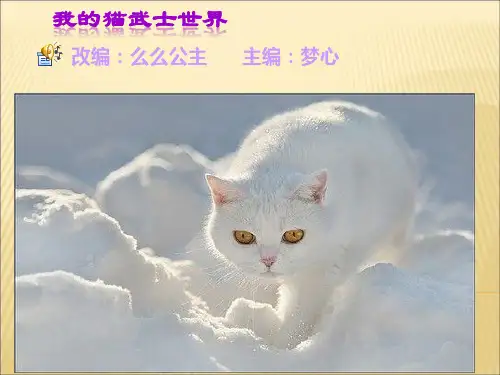 猫武士