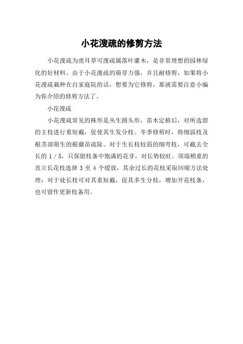小花溲疏的修剪方法