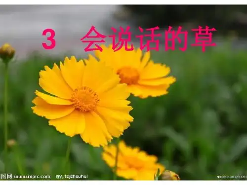 冀教版语文三上课件会说话的草