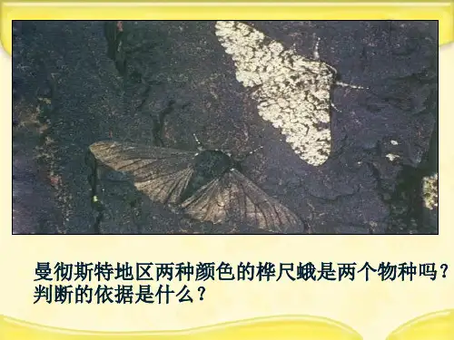新人教版必修2高中生物7.2隔离与物种的形成课件新人教版必修2