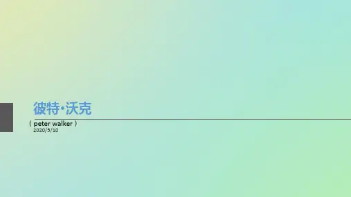 彼得沃克案例分析