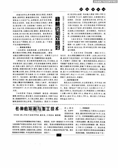 杜仲的环剥与加工技术
