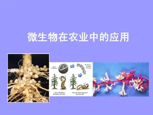 微生物在农业中的应用