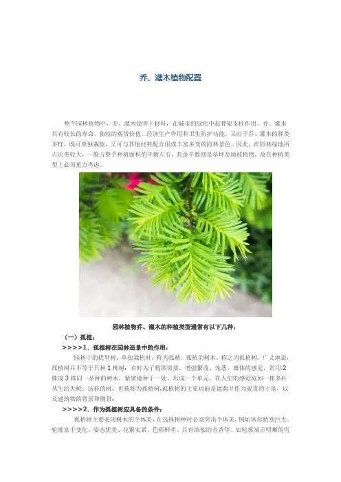 乔、灌木植物配置