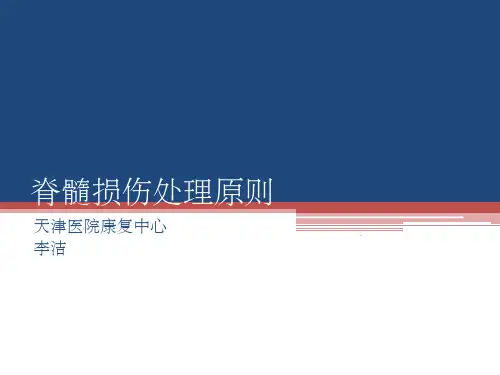 脊髓损伤处理原则ppt
