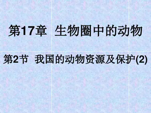 北师大版八年级上册生物  17.2 我国的动物资源及保护(第2课时) 课件   (共25张PPT)