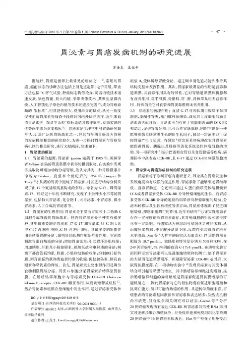 胃泌素与胃癌发病机制的研究进展