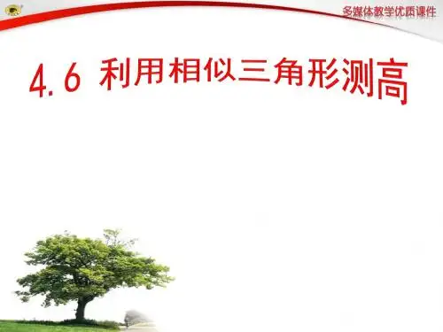 4.6利用相似三角形测高