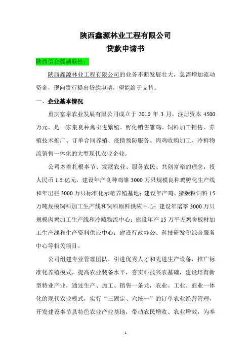 企业贷款申请书 2