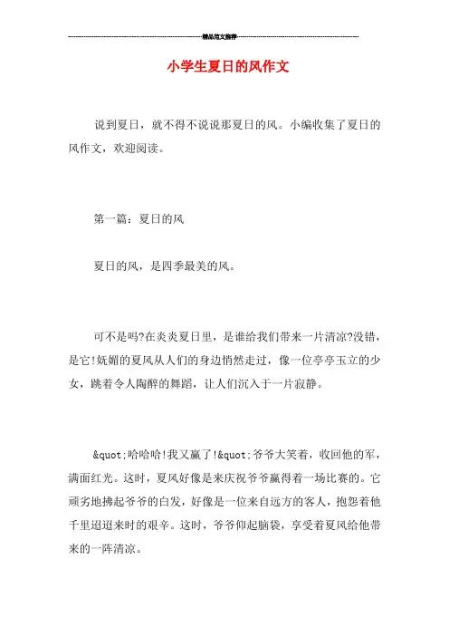 小学生夏日的风作文