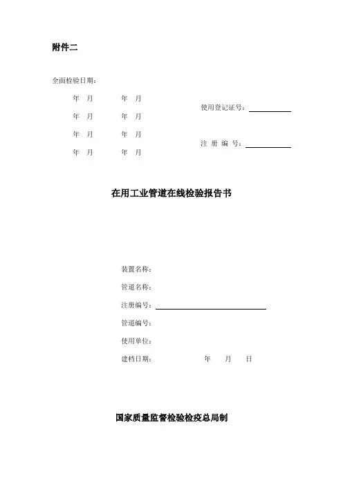 在用工业管道在线检验报告书(《