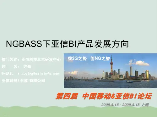 中国移动NGBASS下亚信BI产品发展方向(ppt 30页)