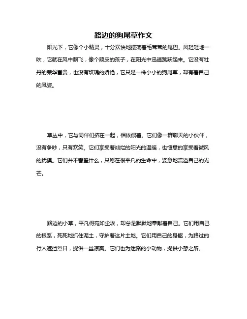 路边的狗尾草作文