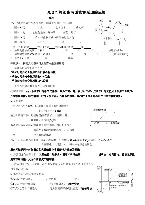 光合作用的影响因素和原理的应用习题