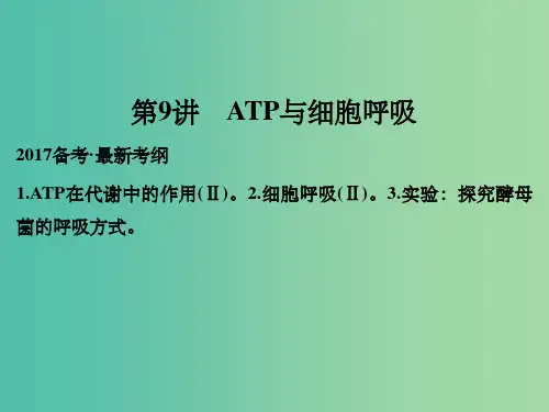 高考生物一轮复习 第3单元 细胞的能量供应和利用 第9讲 ATP与细胞呼吸 新人教版