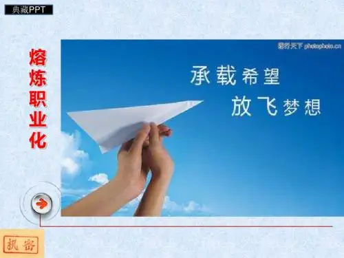 职业化思维概述PPT课件