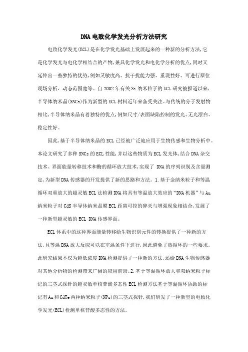 DNA电致化学发光分析方法研究