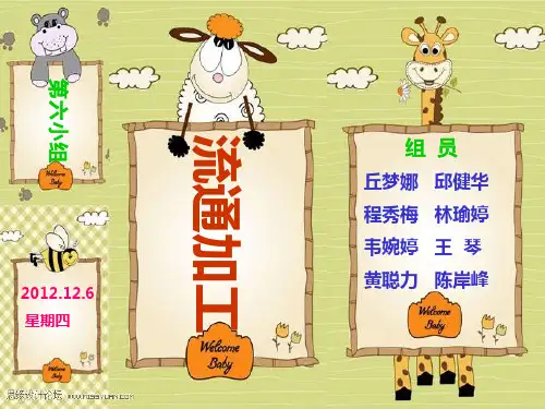 物流管理流通加工讲义.pptx