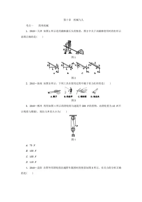 沪科版八年级物理全册第十章 机械与人考点分类训练