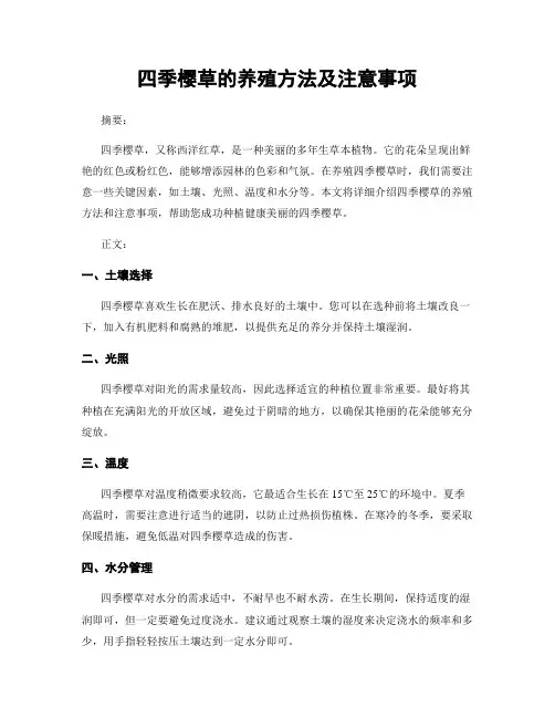 四季樱草的养殖方法及注意事项