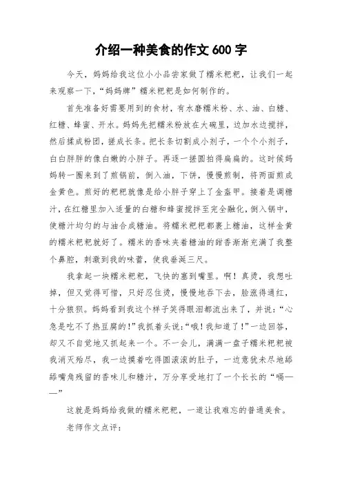 介绍一种美食的作文600字_作文