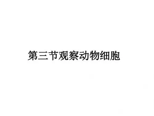 2.1.3第三节观察动物细胞