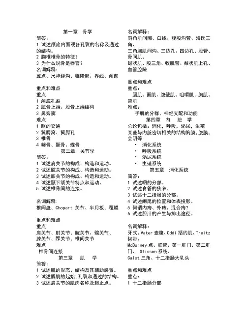 系统解剖学