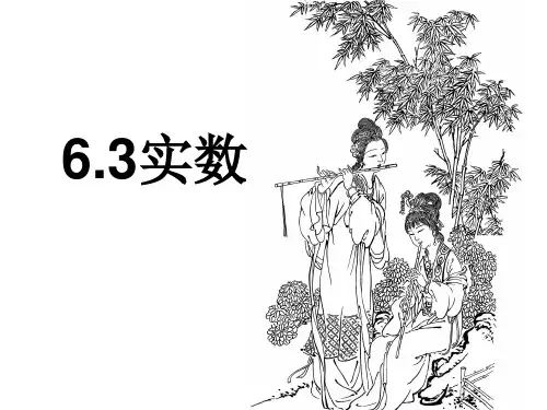 6.3实数