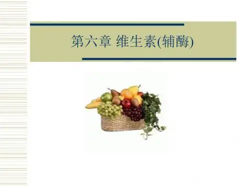 维生素辅酶PPT课件