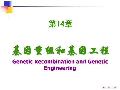 第14章基因重组和基因工程