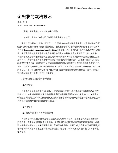 金银花的栽培技术
