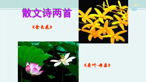 金色花优秀-完整版PPT课件