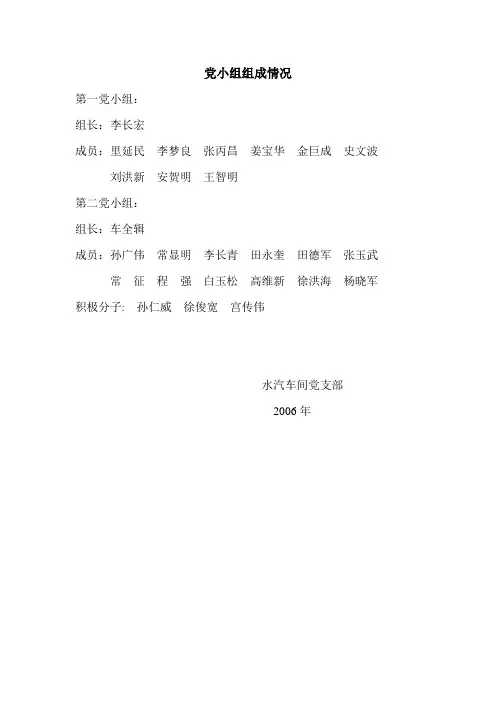 党小组组成情况