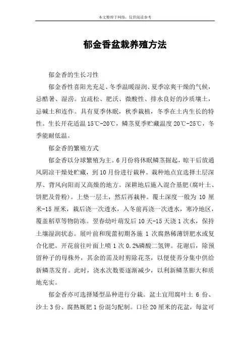 郁金香盆栽养殖方法