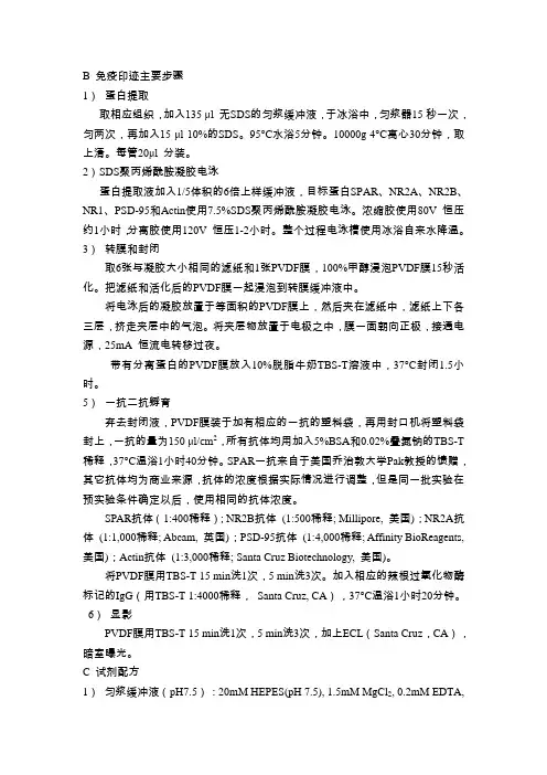 Western blotting 方法