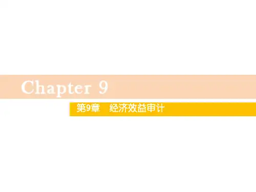 第九章  经济效益审计  《内部审计》  PPT课件