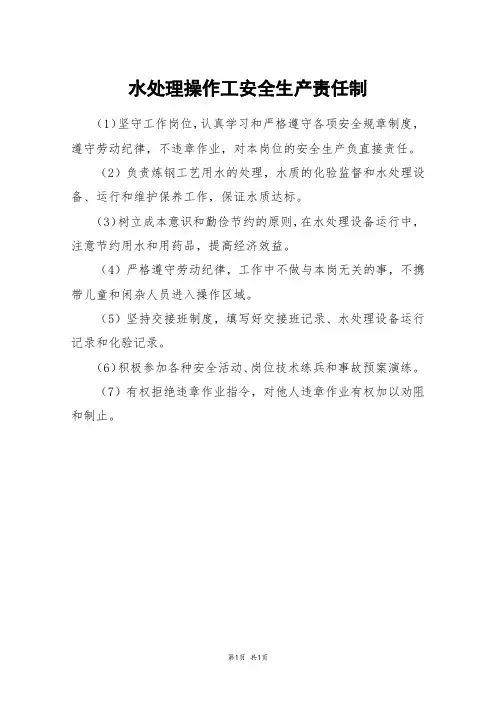 水处理操作工安全生产责任制