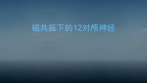 磁共振下的12对颅神经