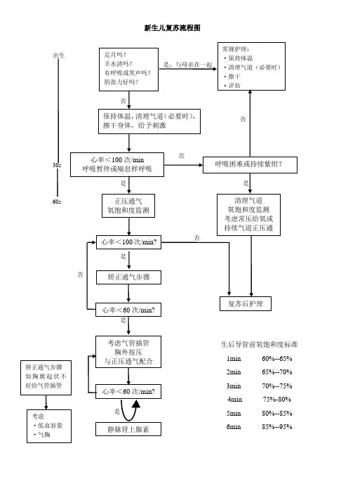 新生儿复苏流程图(2013-08-16 17.09.29)