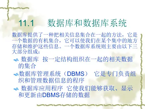设计数据库应用程序