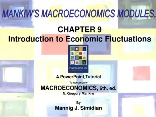 Tutorial_CHAP09Introduction to Economic Fluctuations(宏观经济学,曼昆)