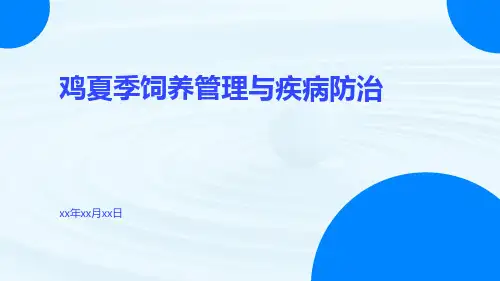 鸡夏季饲养管理与疾病防治