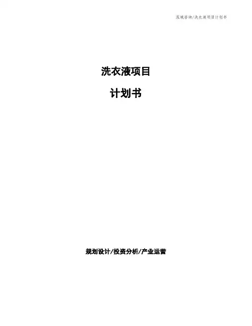 洗衣液项目计划书